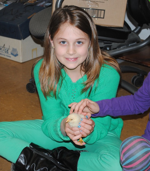 HOPE for Hyndman Charter School Photo Gallery