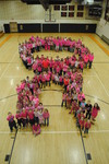 Student Council and NHS led the school in a Pink Out 2014
